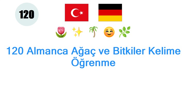 120 Almanca Ağaç ve Bitkiler Kelime Öğrenme